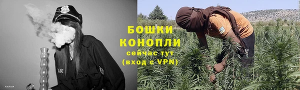 ешки Алексин