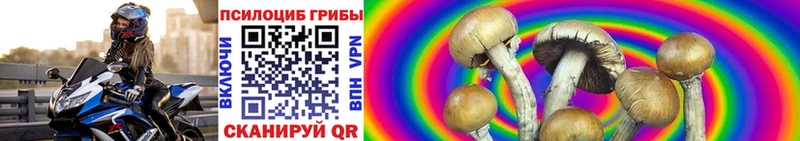 Галлюциногенные грибы Magic Shrooms  мориарти какой сайт  Тверь 